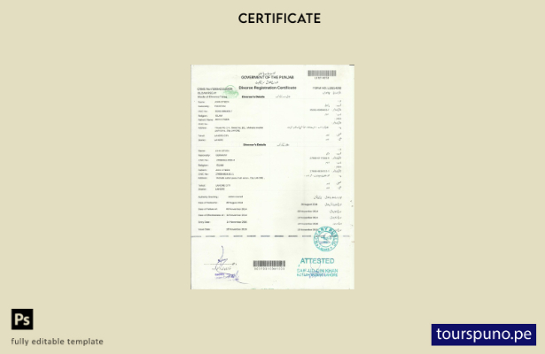 listo para imprimir Plantilla de certificado de divorcio del Gobierno de Punjab 